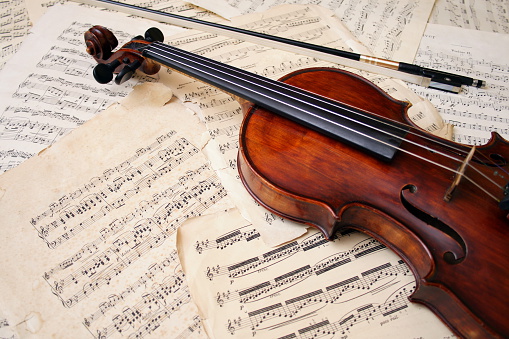 Detail Violin Images Free Download Nomer 49