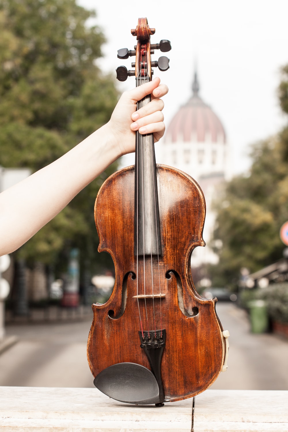 Detail Violin Pictures Free Nomer 36