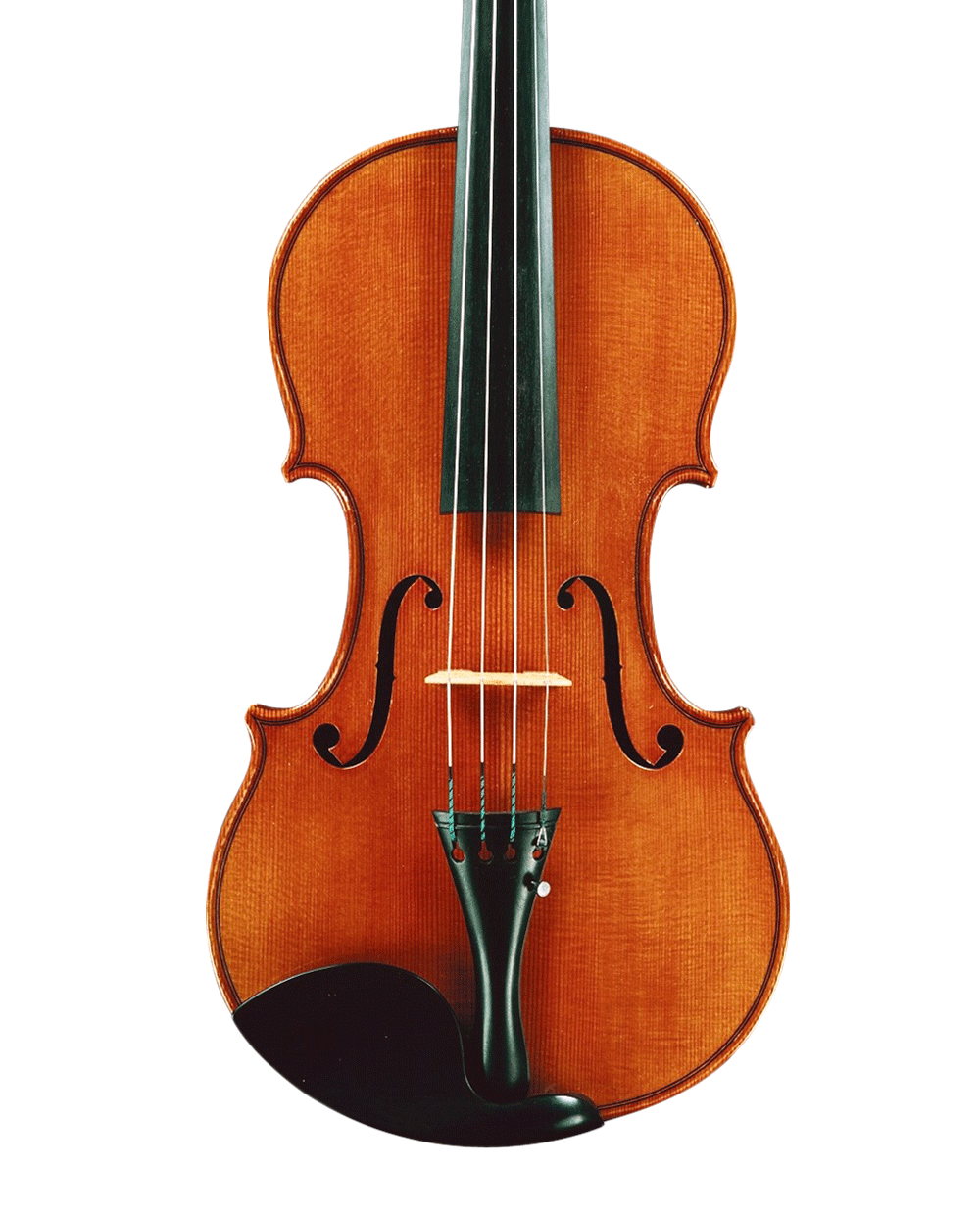 Detail Violin Png Nomer 51