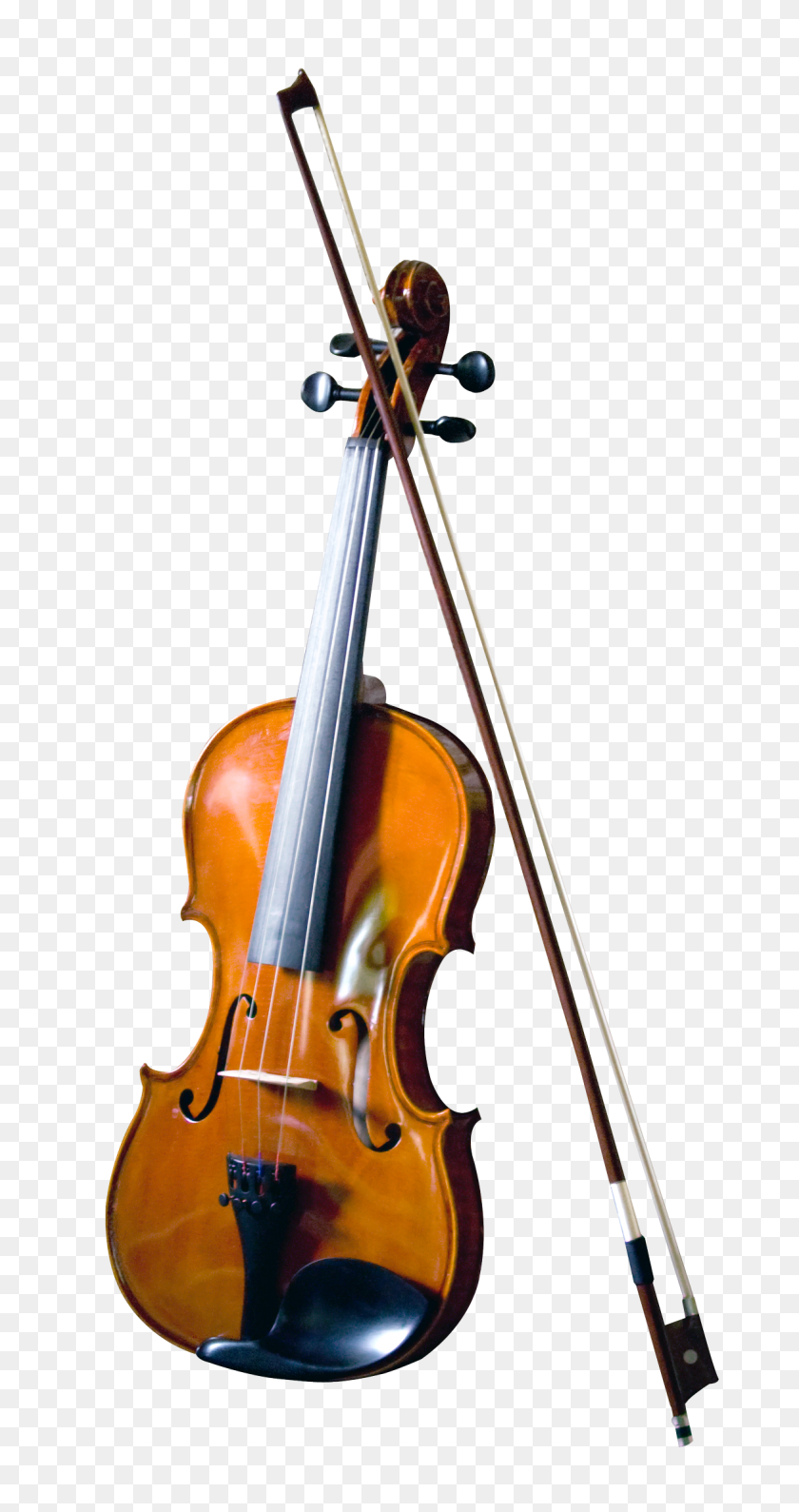 Detail Violin Transparent Png Nomer 36