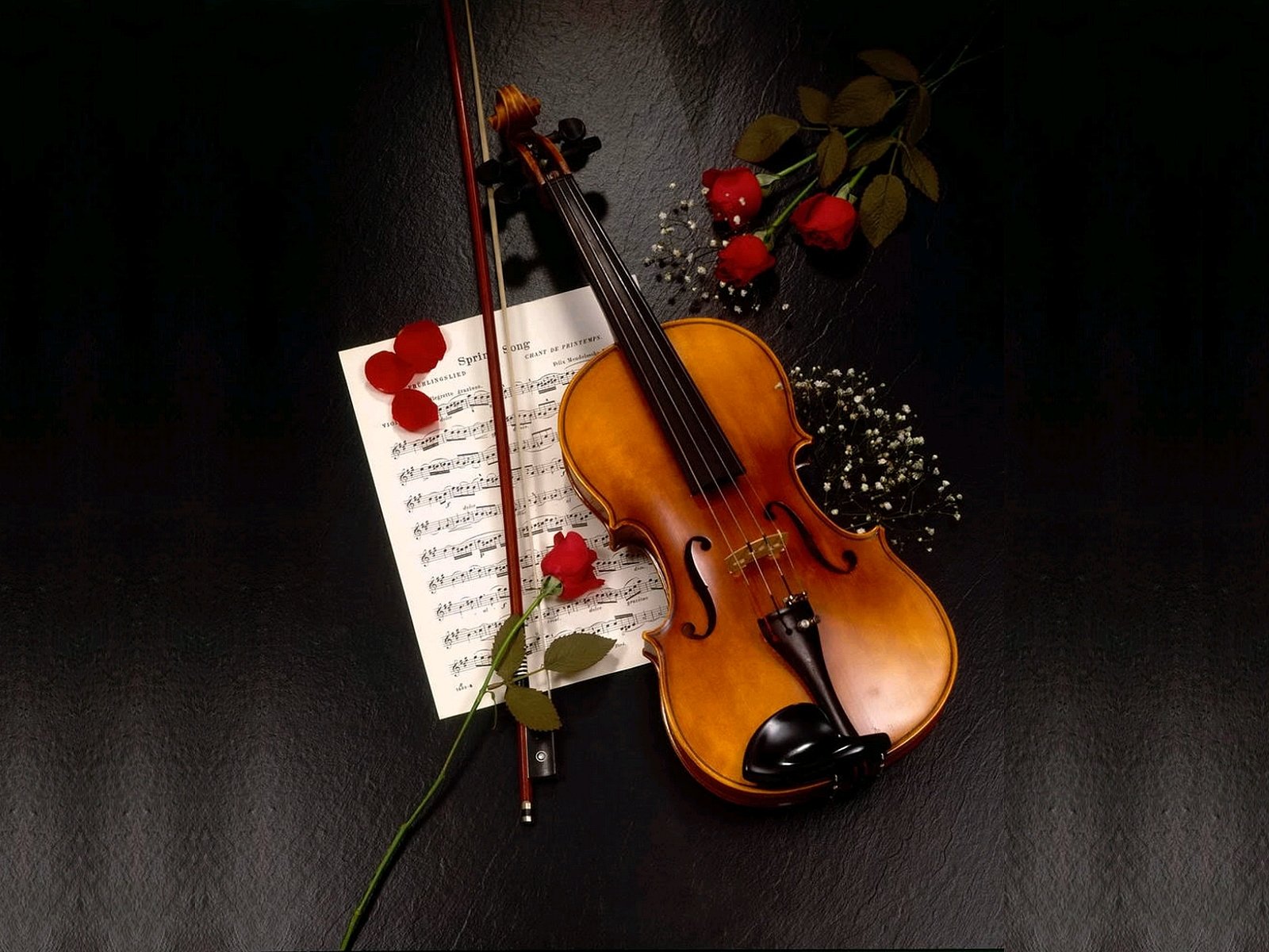 Detail Violin Wallpaper Nomer 14