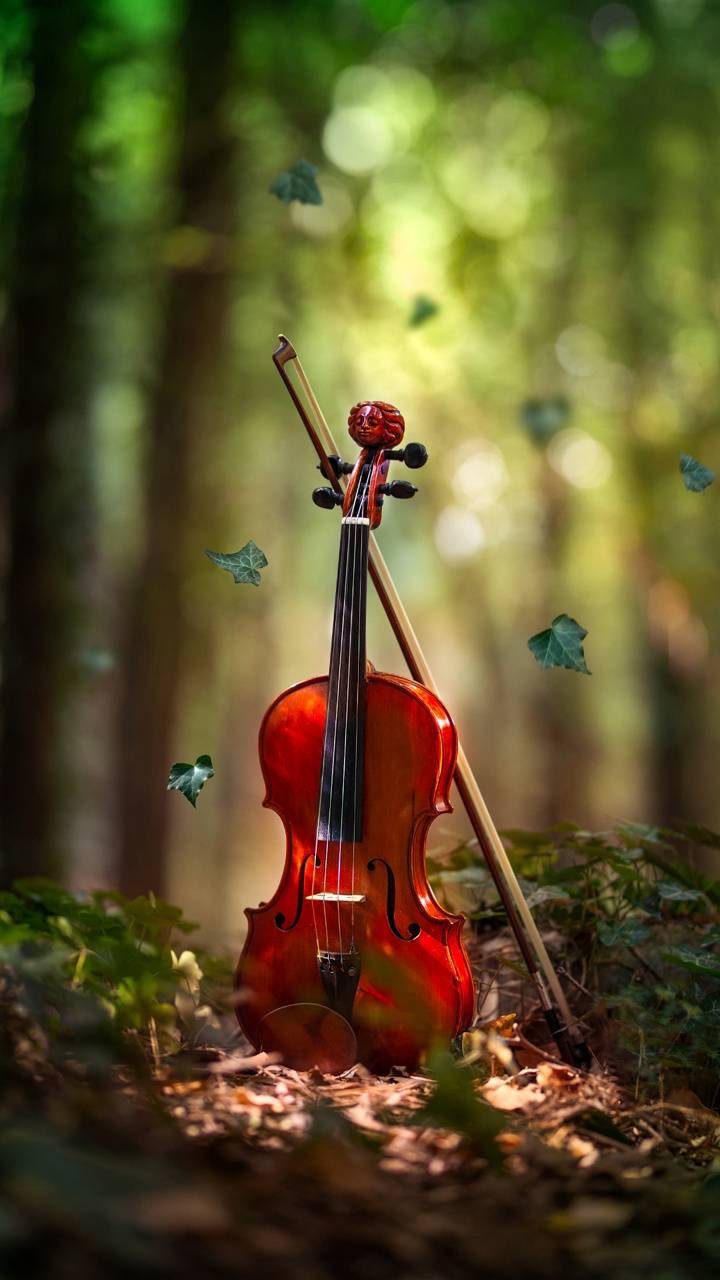 Detail Violin Wallpaper Nomer 22