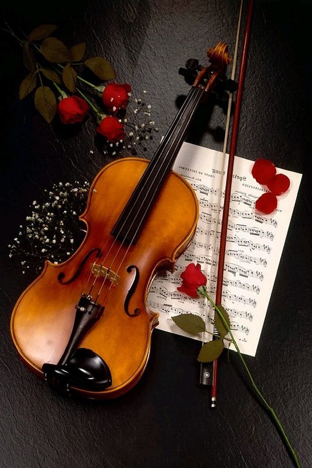 Detail Violin Wallpaper Nomer 42