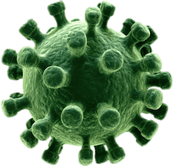 Detail Virus Corona Png Nomer 5