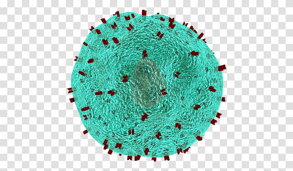 Detail Virus Hiv Png Nomer 37