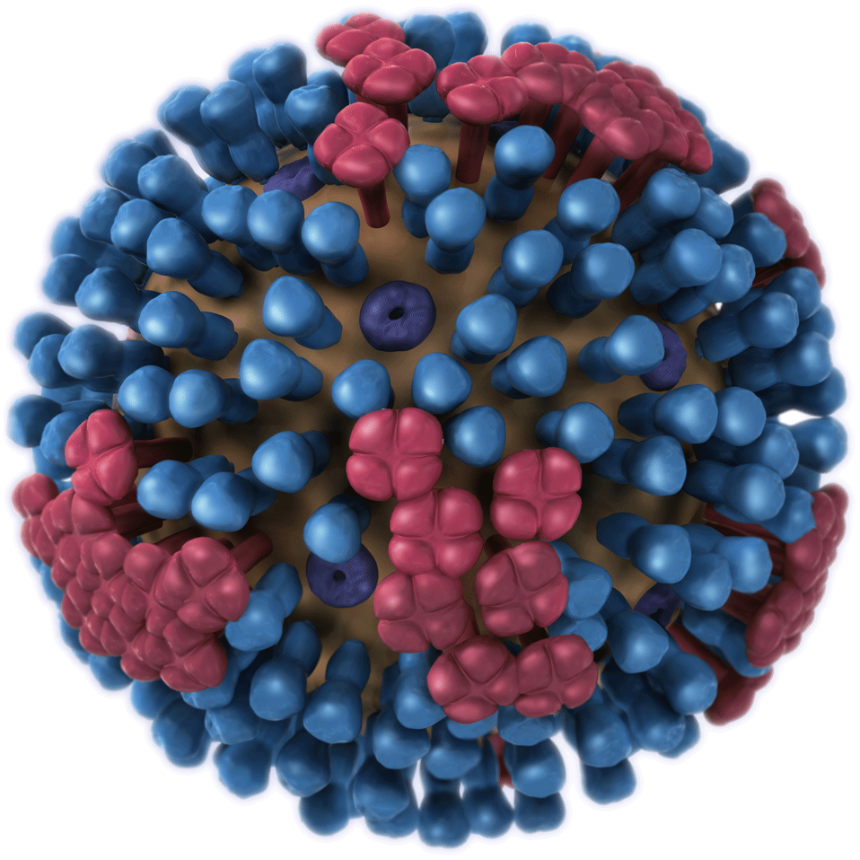 Detail Virus Transparent Background Nomer 15