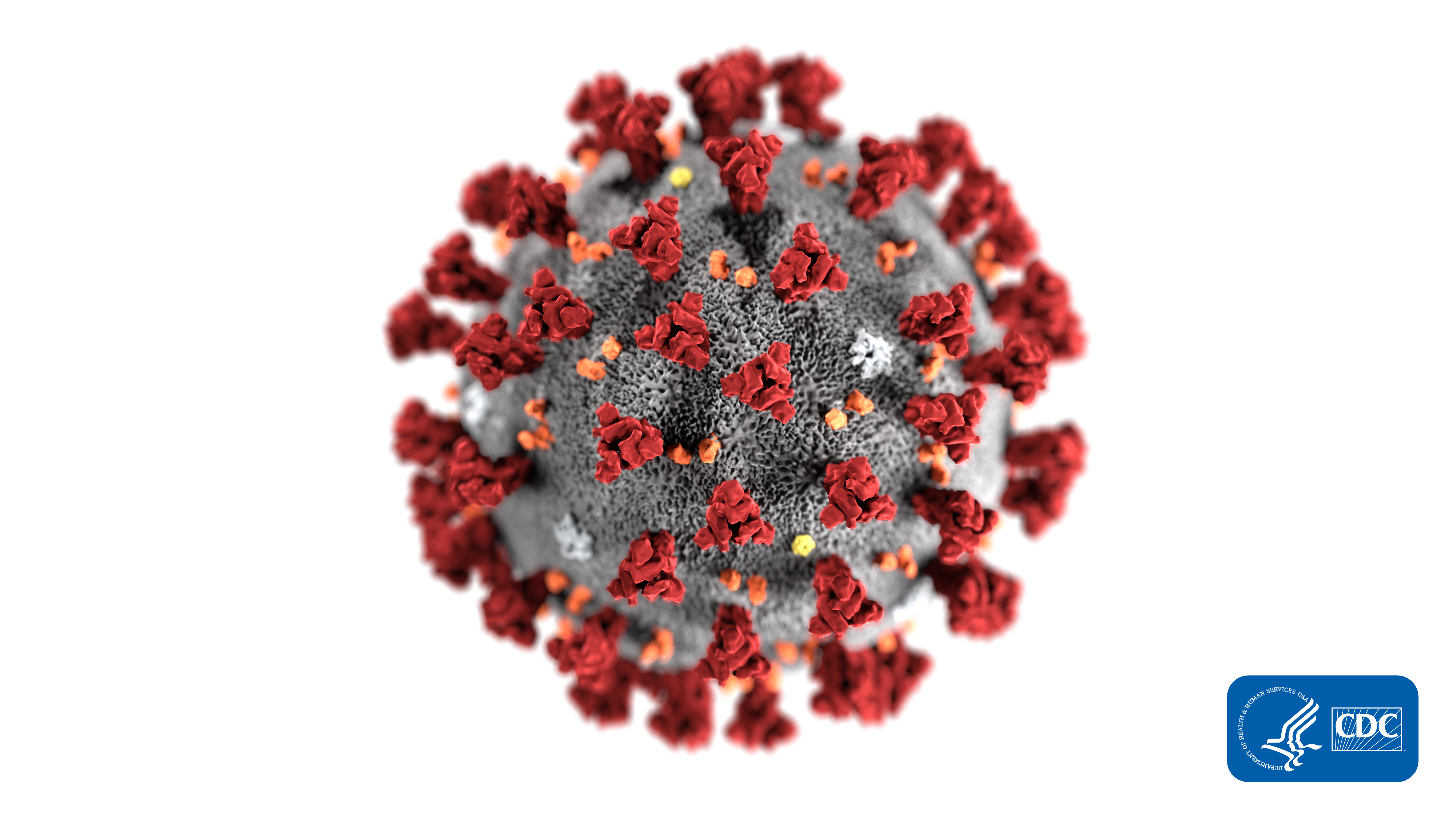 Detail Virus Transparent Background Nomer 4