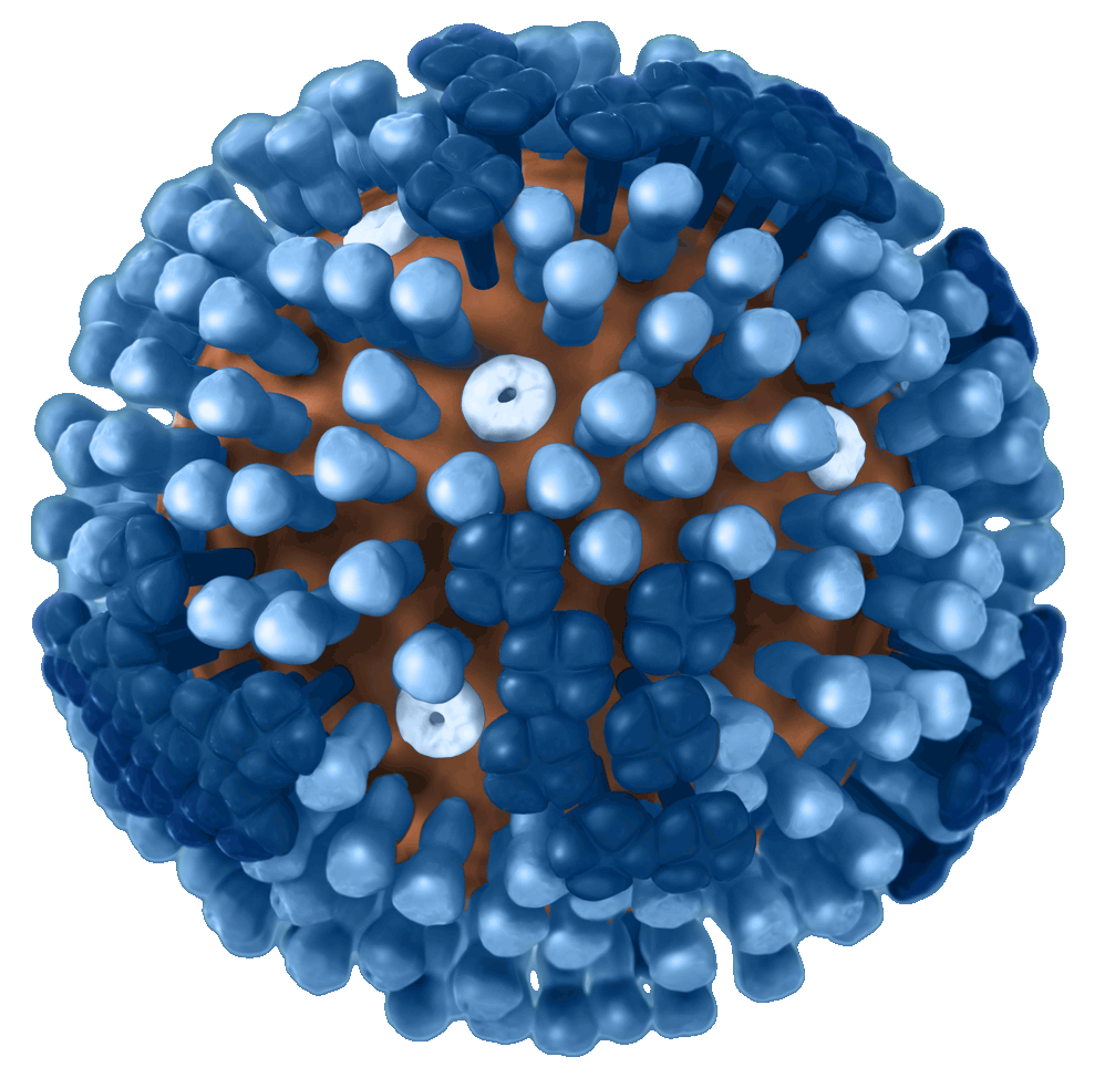 Detail Virus Transparent Background Nomer 9