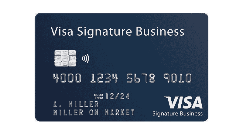 Detail Visa Card Image Nomer 3