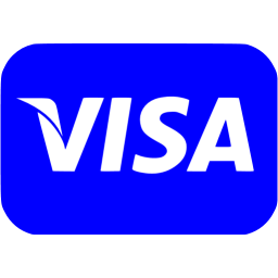 Detail Visa Icon Nomer 16