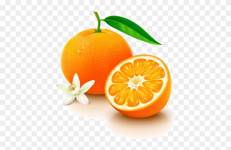 Detail Vitamin C Png Nomer 4