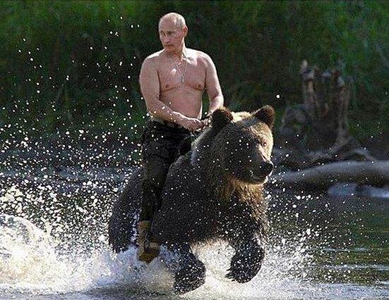 Vladimir Putin Bear Meme - KibrisPDR