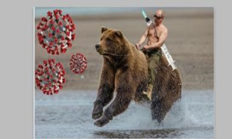 Detail Vladimir Putin Bear Meme Nomer 14