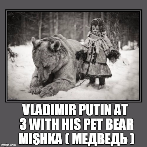 Detail Vladimir Putin Bear Meme Nomer 18