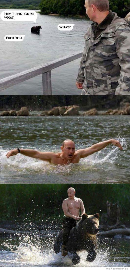 Detail Vladimir Putin Bear Meme Nomer 3