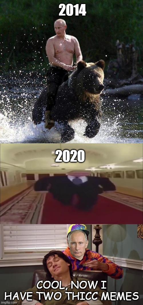 Detail Vladimir Putin Bear Meme Nomer 25