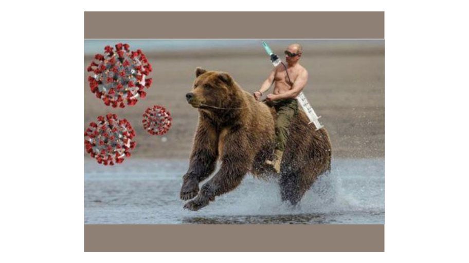 Detail Vladimir Putin Bear Meme Nomer 27