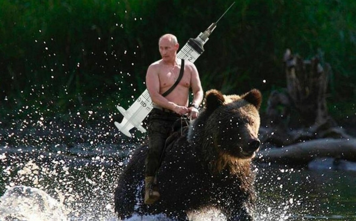 Detail Vladimir Putin Bear Meme Nomer 41