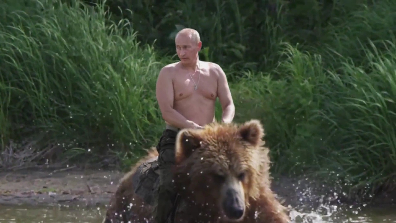 Detail Vladimir Putin Bear Meme Nomer 50