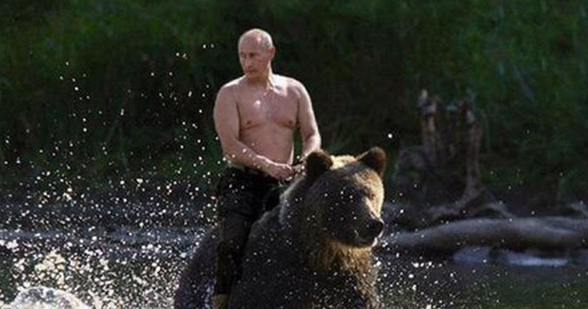 Detail Vladimir Putin Bear Meme Nomer 9