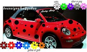 Detail Volkswagen Ladybug Car Nomer 16