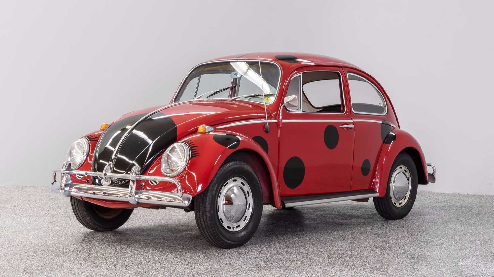 Detail Volkswagen Ladybug Car Nomer 5