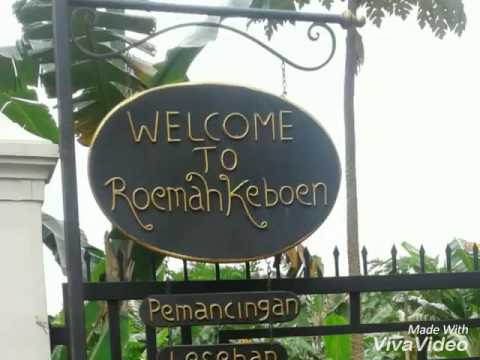 Detail Rumah Kebun Jambi Nomer 4