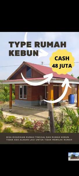 Detail Rumah Kebun Jambi Nomer 52