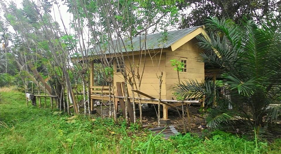 Detail Rumah Kebun Sederhana Nomer 17