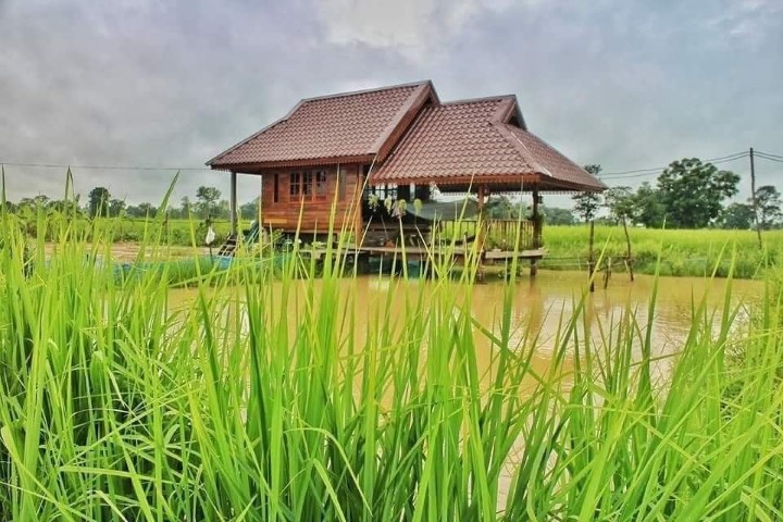 Detail Rumah Kebun Sederhana Nomer 26