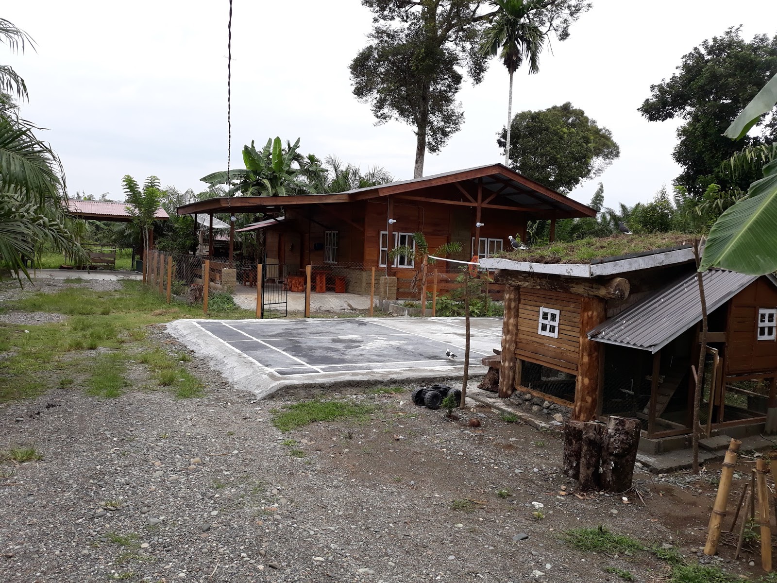 Detail Rumah Kebun Sederhana Nomer 44