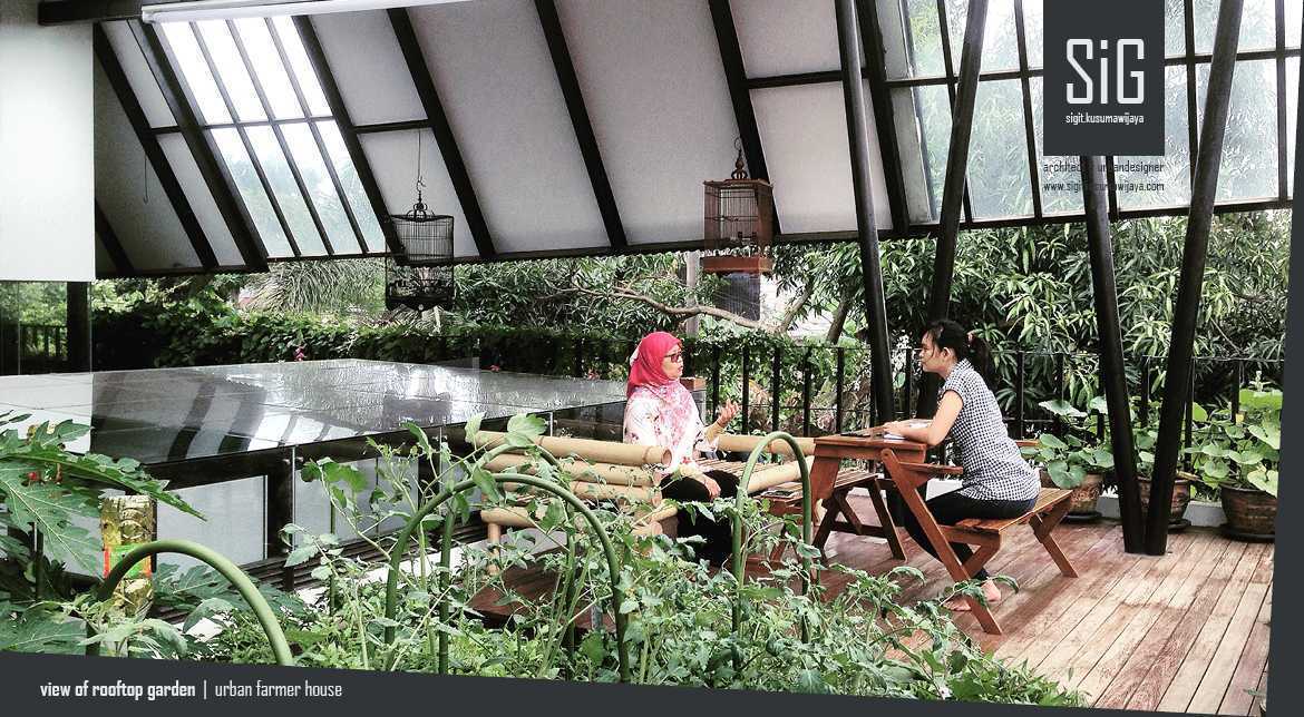 Detail Rumah Kebun Sederhana Nomer 51