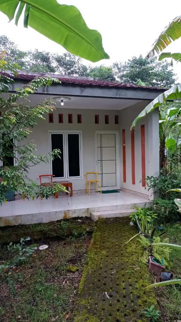 Detail Rumah Kebun Sederhana Nomer 53