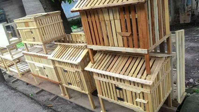 Detail Rumah Kelinci Dari Kayu Nomer 35