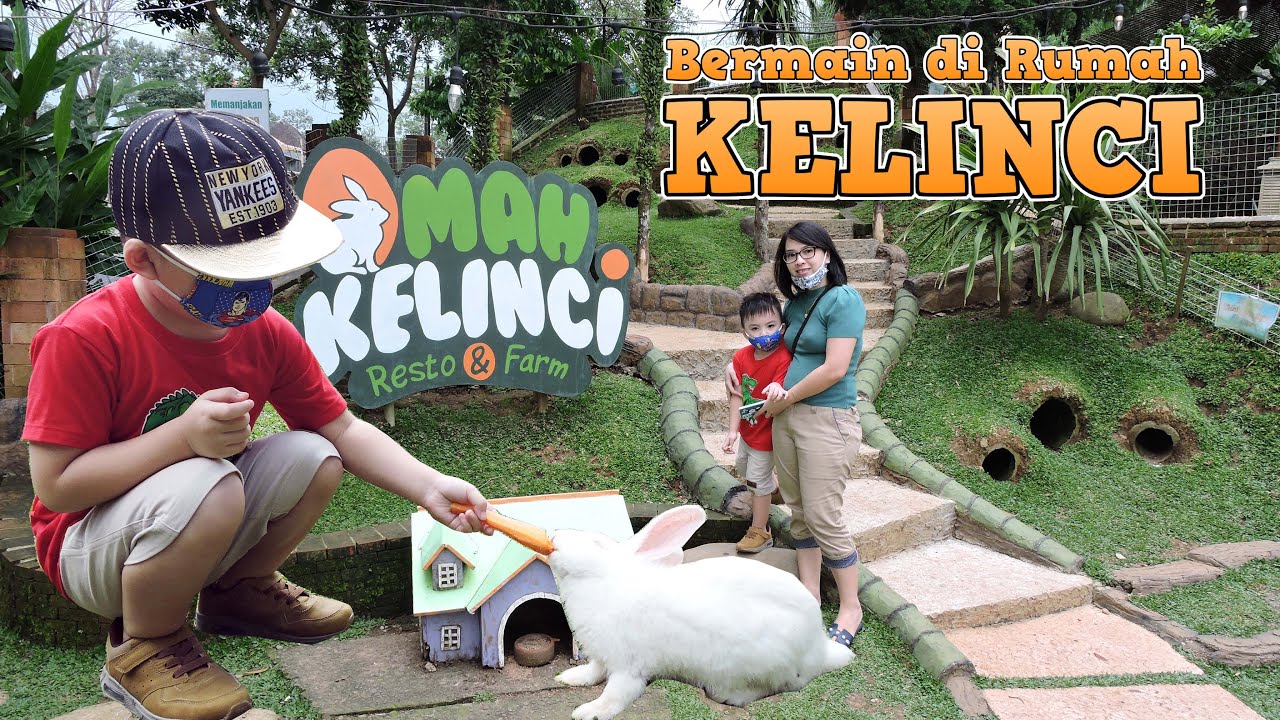 Rumah Kelinci Tawangmangu - KibrisPDR