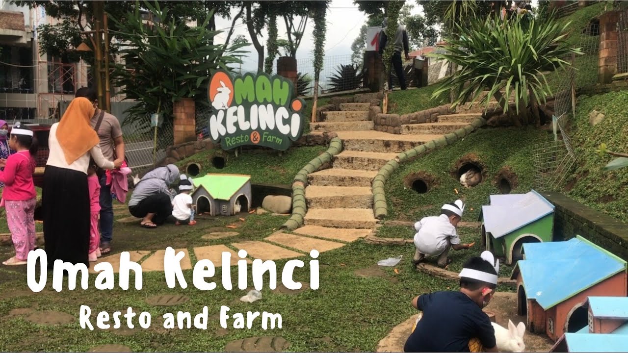 Detail Rumah Kelinci Tawangmangu Nomer 16