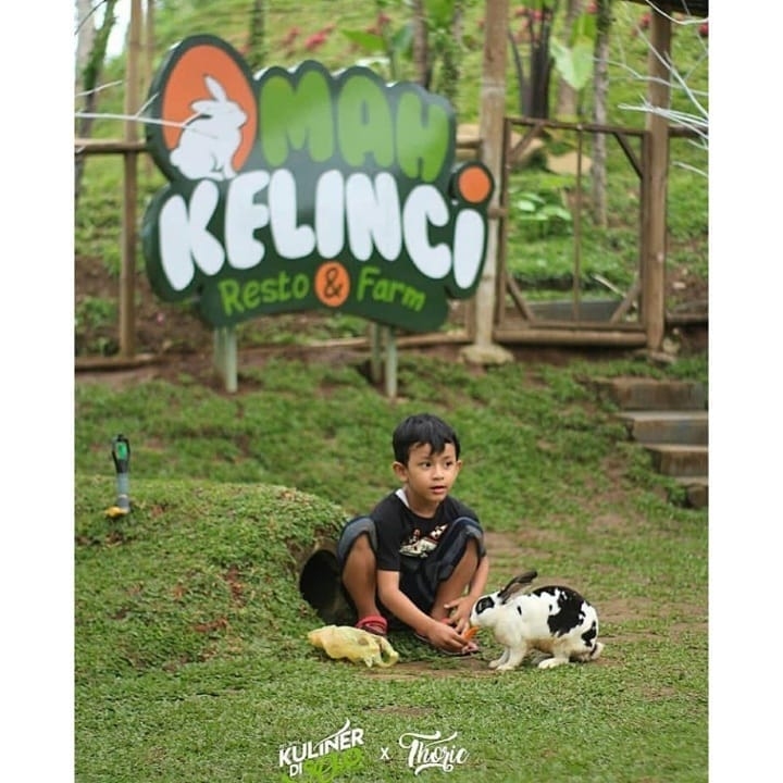 Detail Rumah Kelinci Tawangmangu Nomer 18