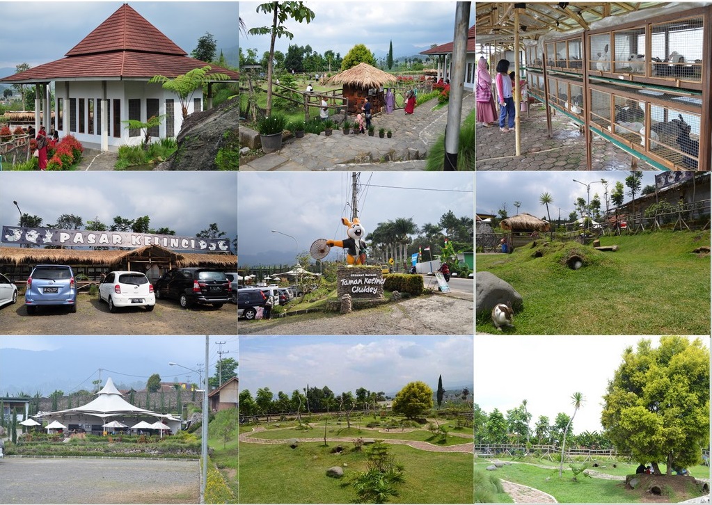 Detail Rumah Kelinci Tawangmangu Nomer 26