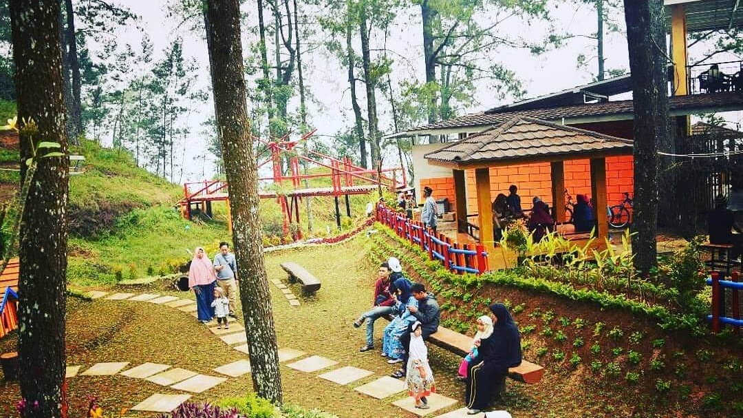 Detail Rumah Kelinci Tawangmangu Nomer 27