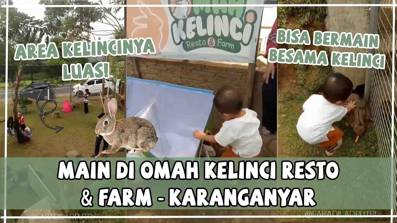 Detail Rumah Kelinci Tawangmangu Nomer 30