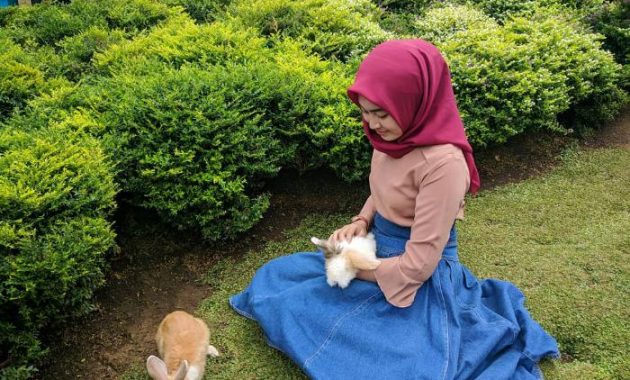 Detail Rumah Kelinci Tawangmangu Nomer 37