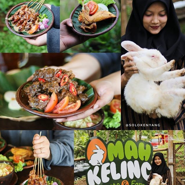 Detail Rumah Kelinci Tawangmangu Nomer 5