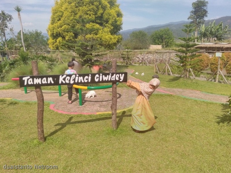 Detail Rumah Kelinci Tawangmangu Nomer 39
