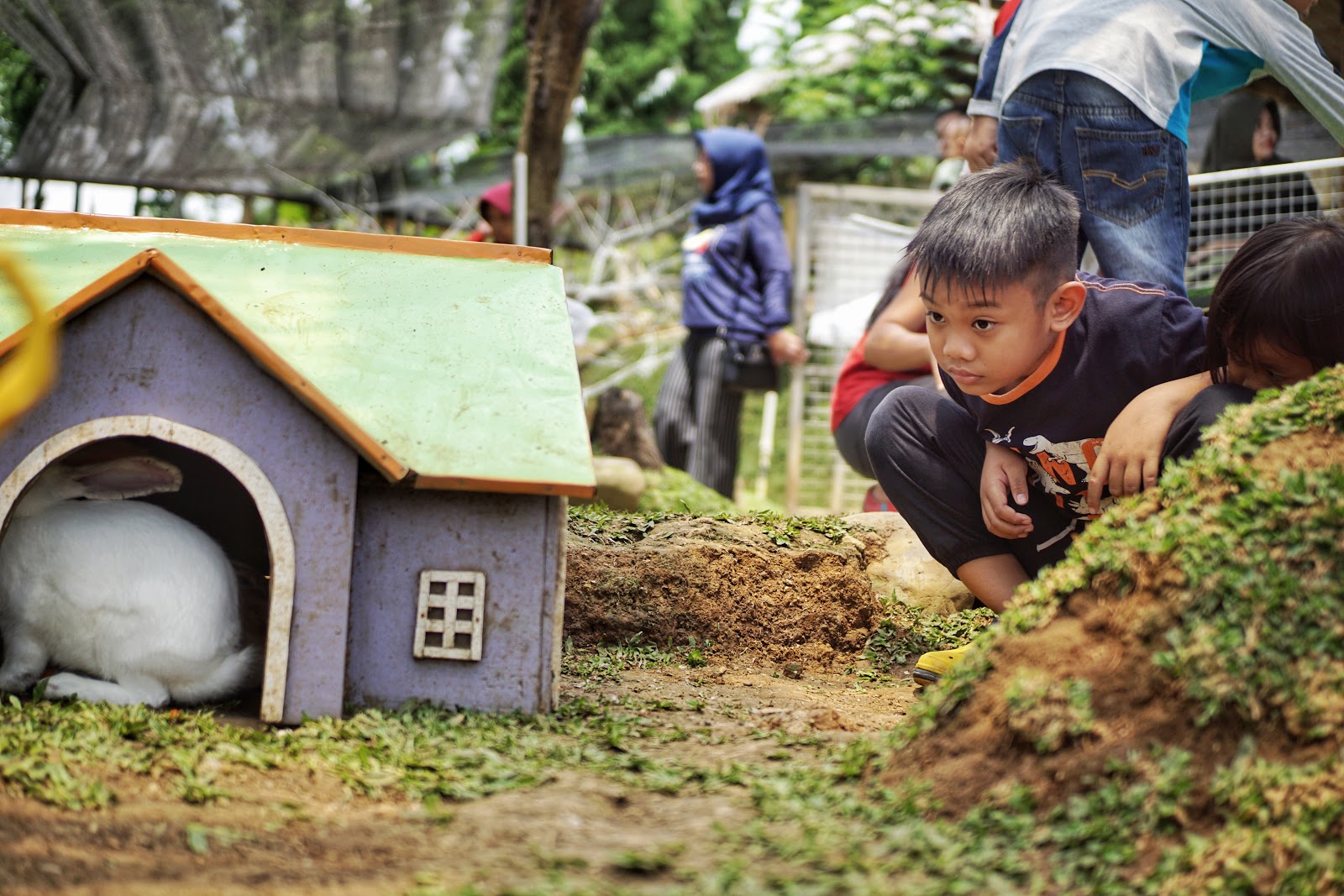 Detail Rumah Kelinci Tawangmangu Nomer 40