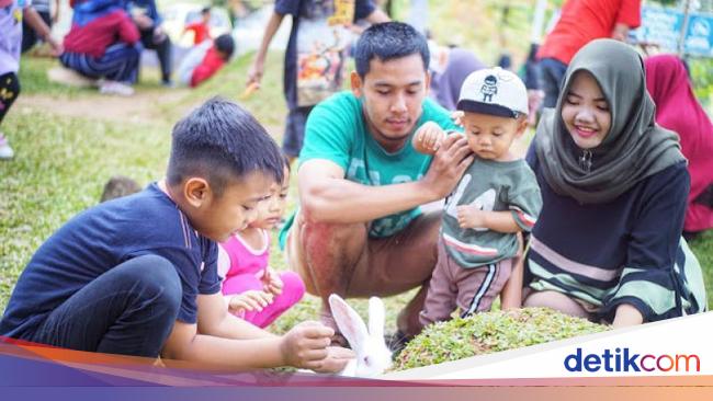 Detail Rumah Kelinci Tawangmangu Nomer 44