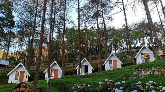 Detail Rumah Kelinci Tawangmangu Nomer 46