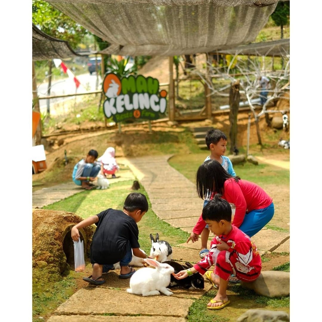 Detail Rumah Kelinci Tawangmangu Nomer 6