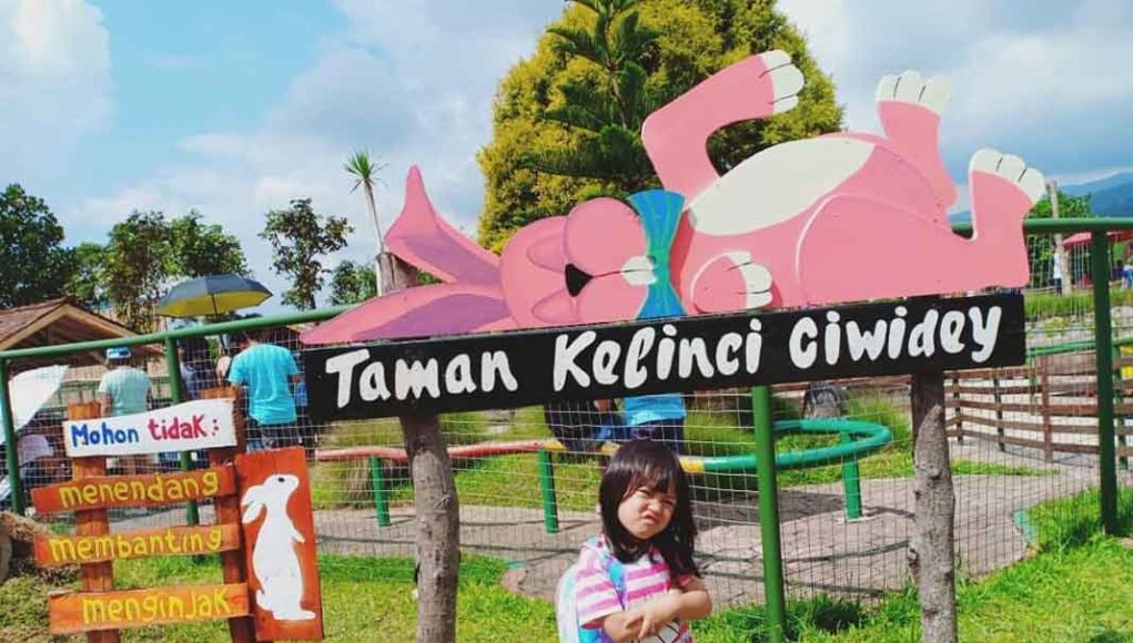 Detail Rumah Kelinci Tawangmangu Nomer 53