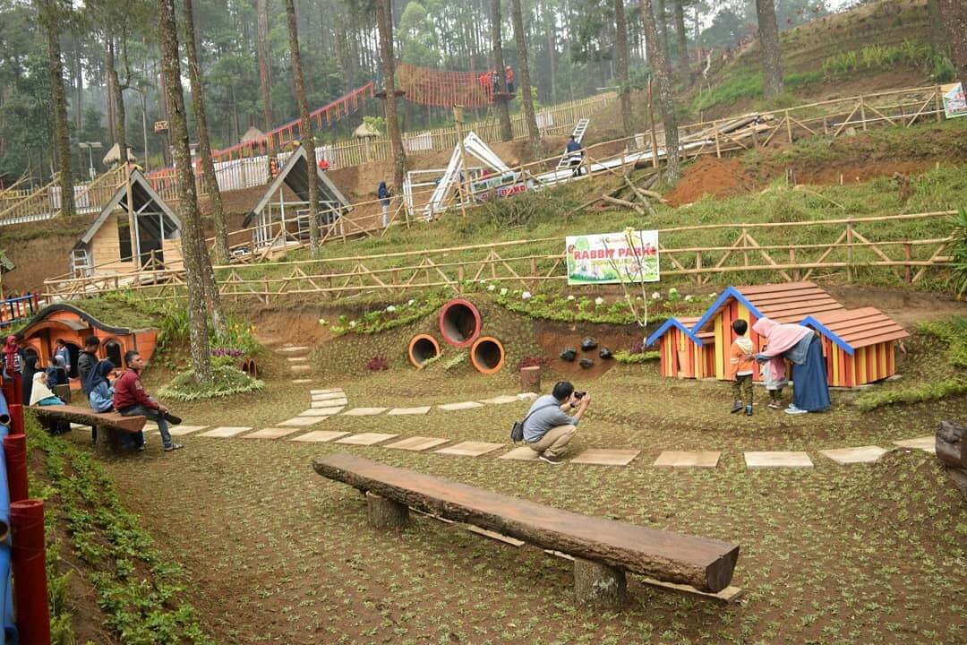 Detail Rumah Kelinci Tawangmangu Nomer 9