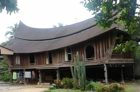 Detail Rumah Khas Sumatera Barat Nomer 36
